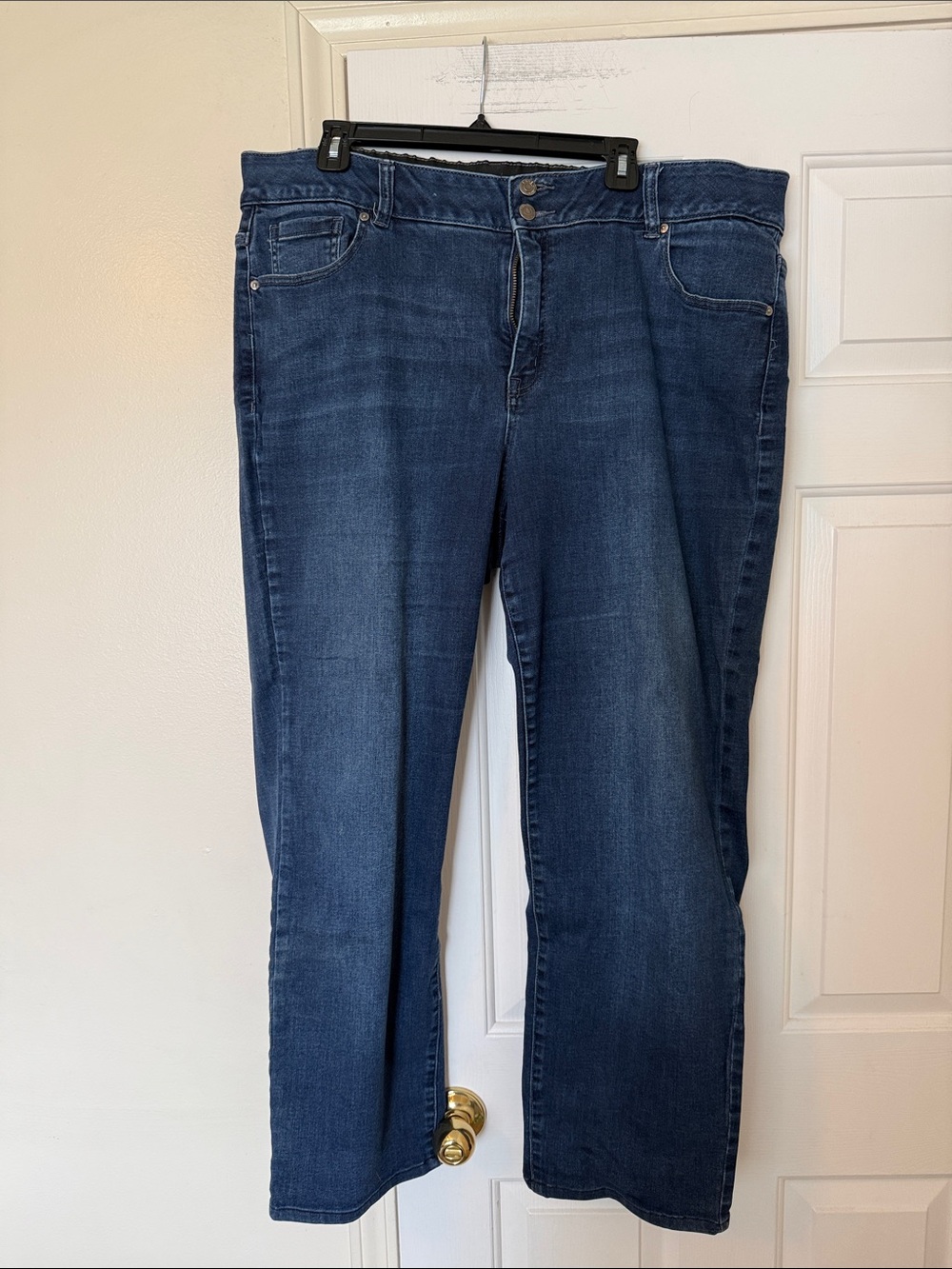 Lane Bryant Straight Leg Jeans in Dark Blue Denim